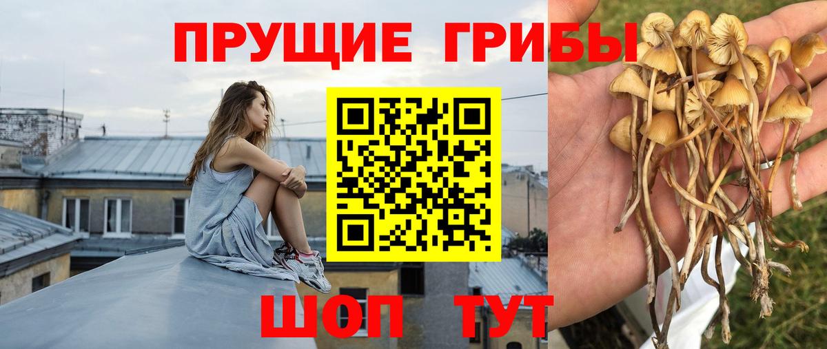 Озёры  Псилоцибиновые грибы прущие грибы  Галлюциногенные грибы Magic Shrooms  магазин продажи   Вход с VPN 